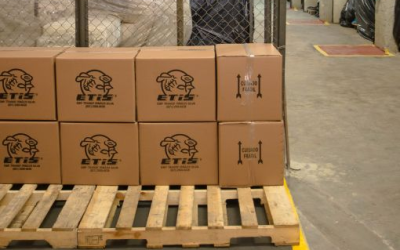 Armazenagem para Mudança